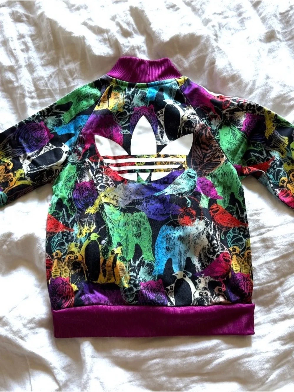 adidas originals animal
